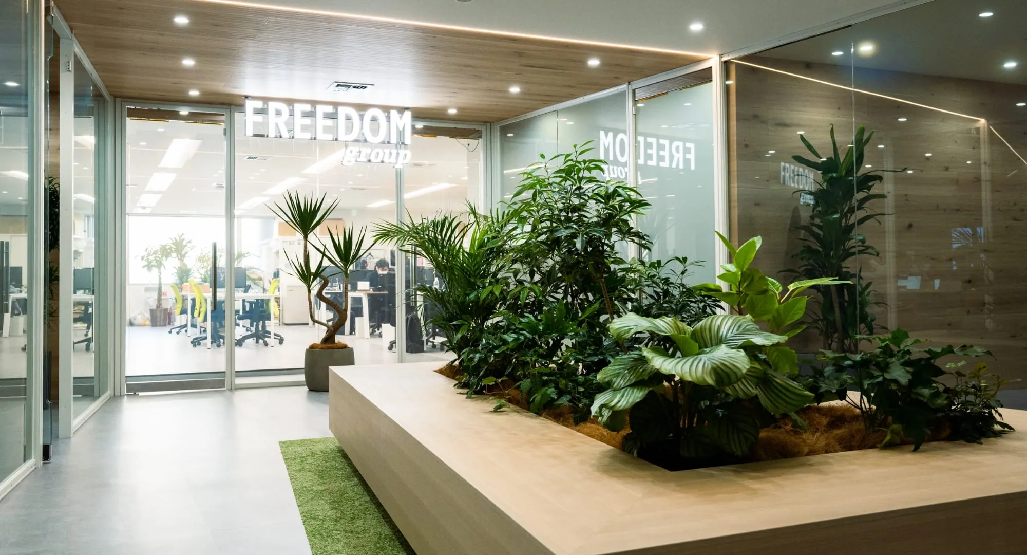 freedom-xのイメージ